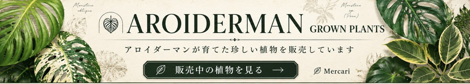 アロイダーマンが育てた珍しい植物をメルカリで販売中