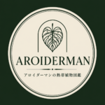 AROIDERMAN